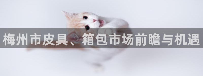 富邦娱乐首页