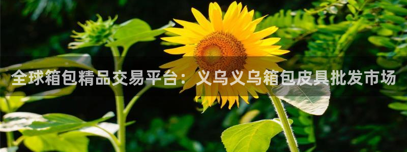 www.富邦娱乐