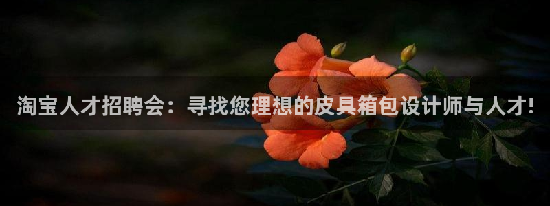 杭州富邦娱乐集团