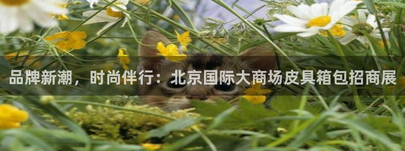 富邦老品牌娱乐城