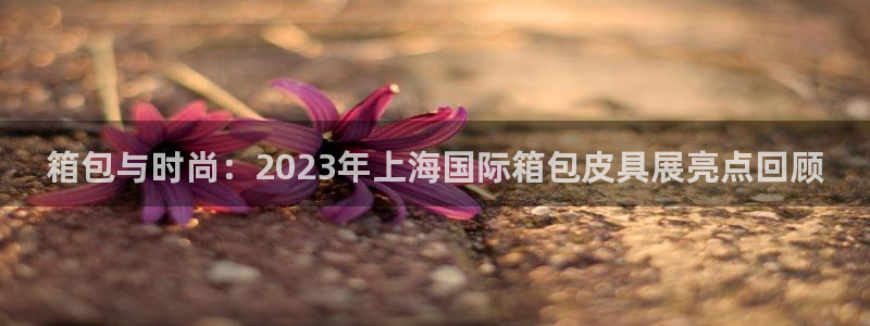 富邦娱乐有限公司怎么样