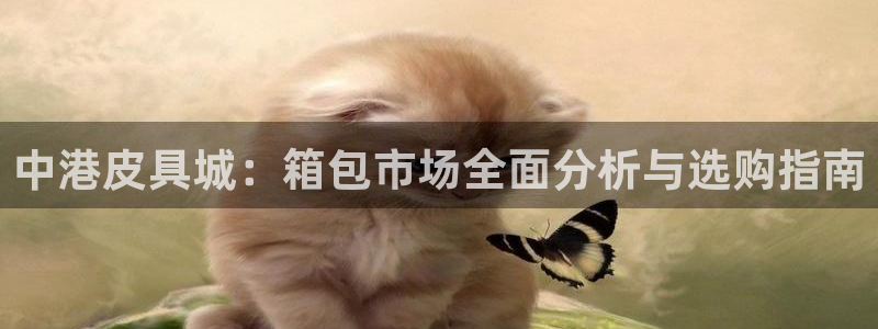 富邦美业势不可挡娱乐
